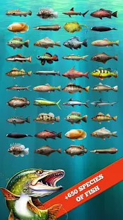 Let's Fish: Sport Fishing Game | Apkplaygame.com