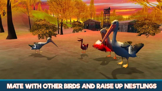 Pelican Bird Simulator 3D | Apkplaygame.com